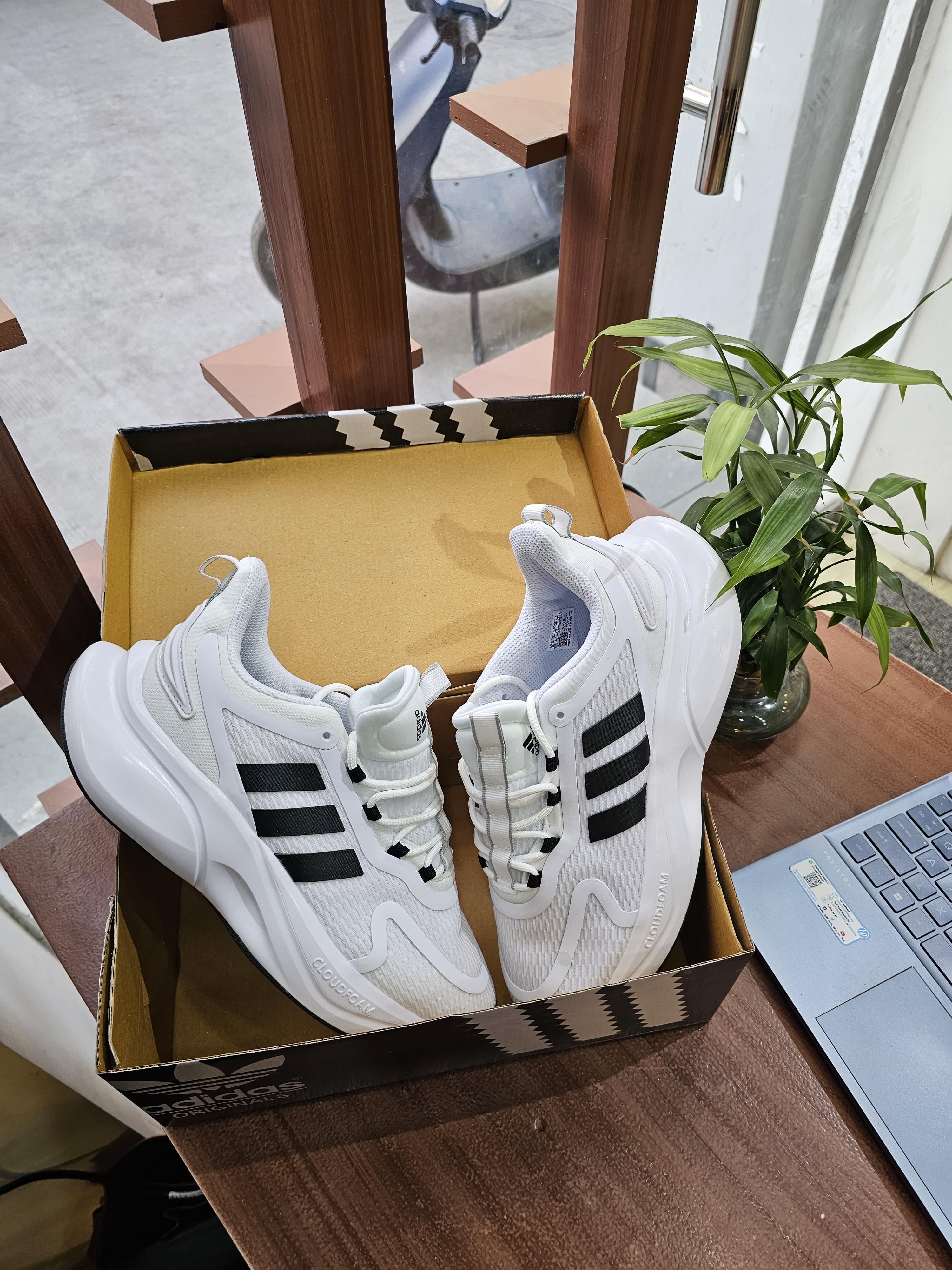 ADIDAS ALPHA BOUNCE WHITE