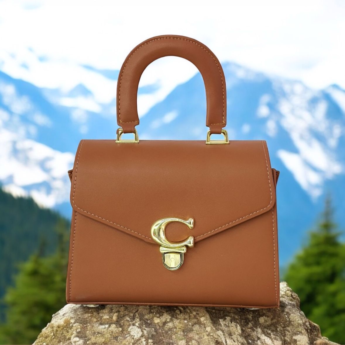 Top handle designer purse