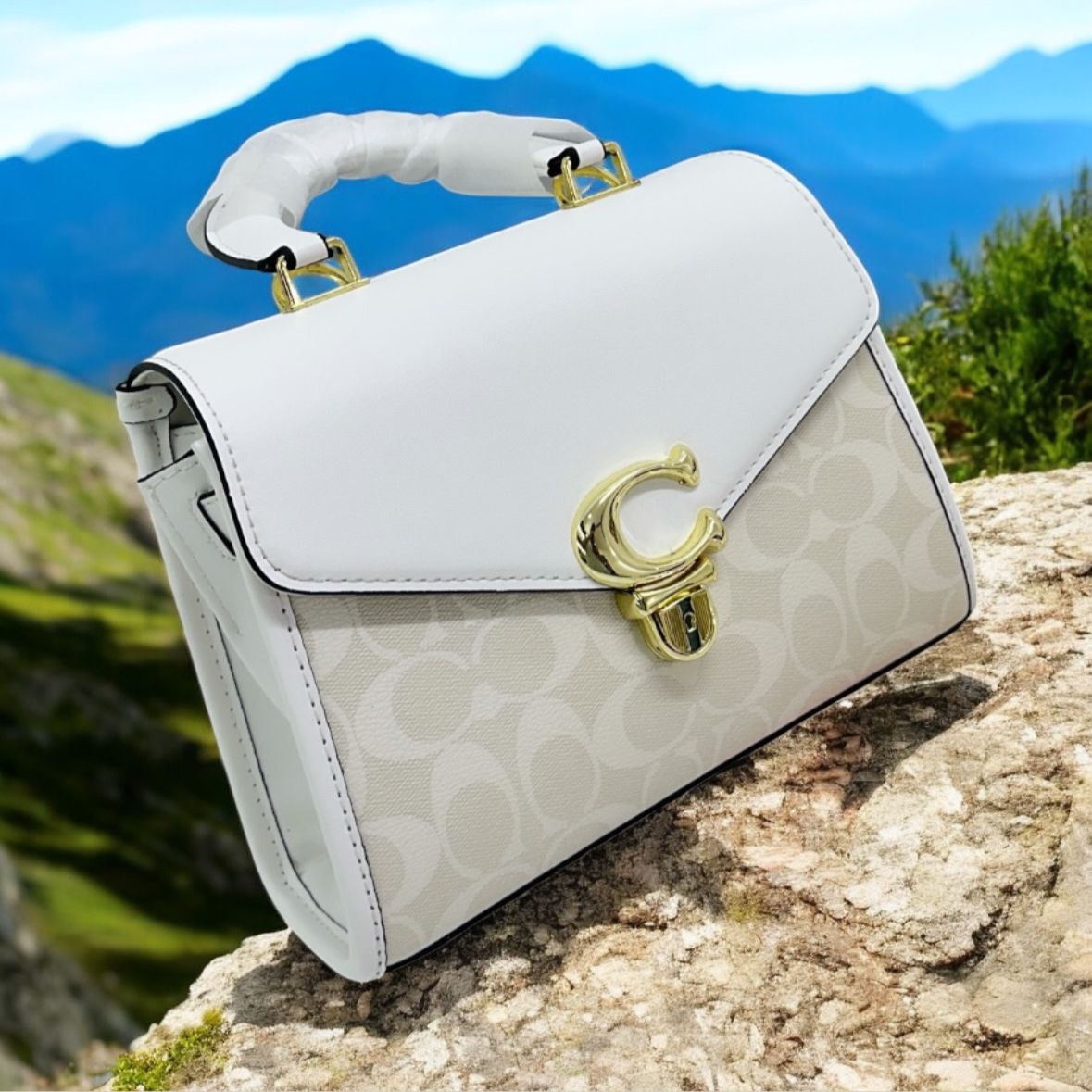 Top handle designer purse