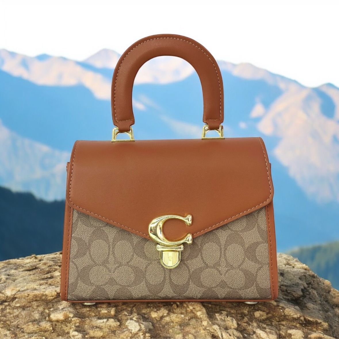 Top handle designer purse