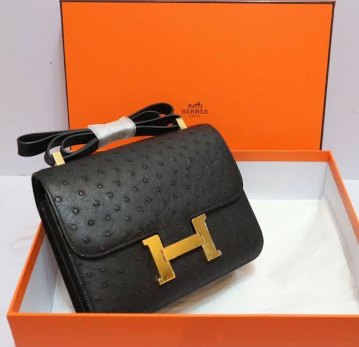 Amazing Crocodile Premium Bag - AmazingBaba