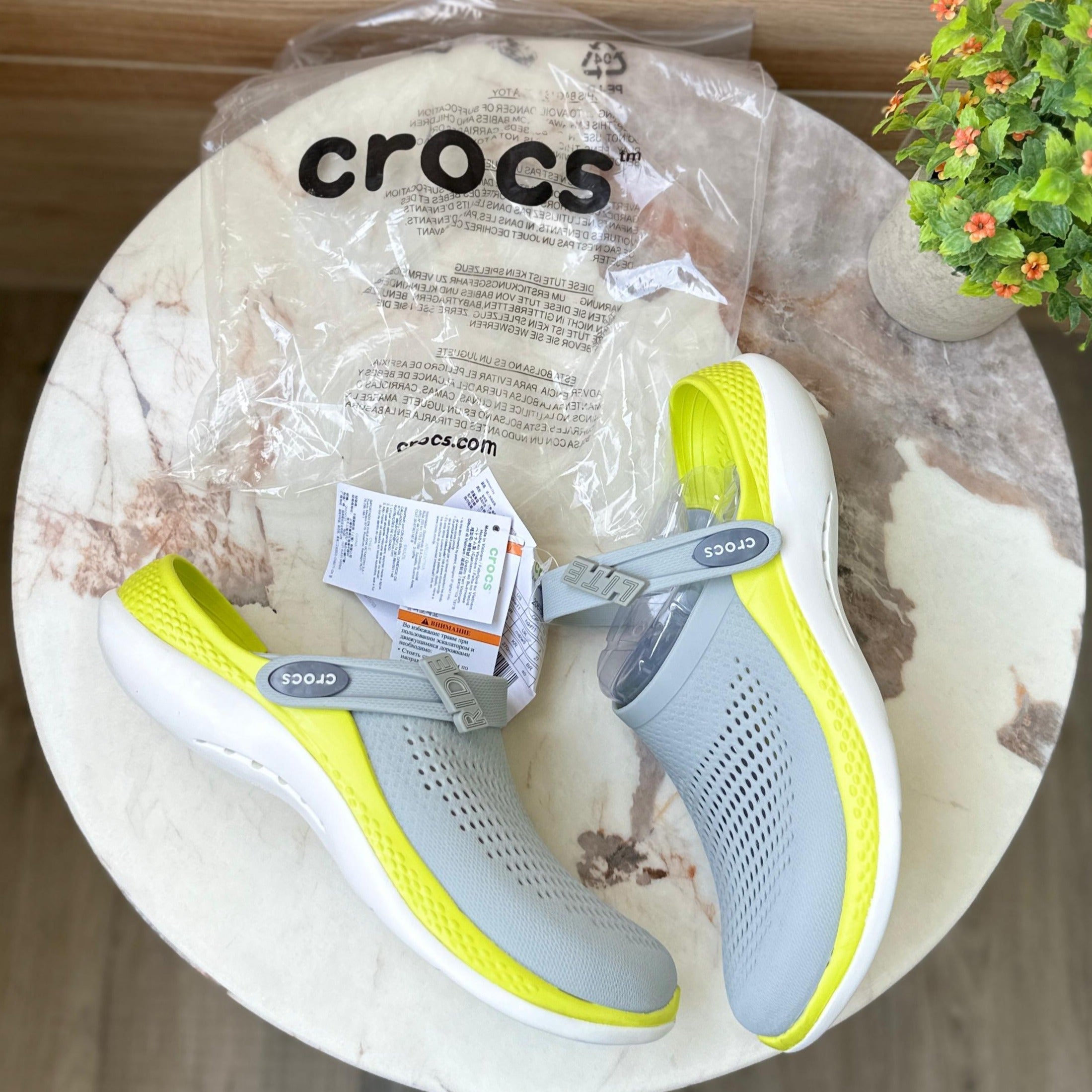 Amazing literid croco