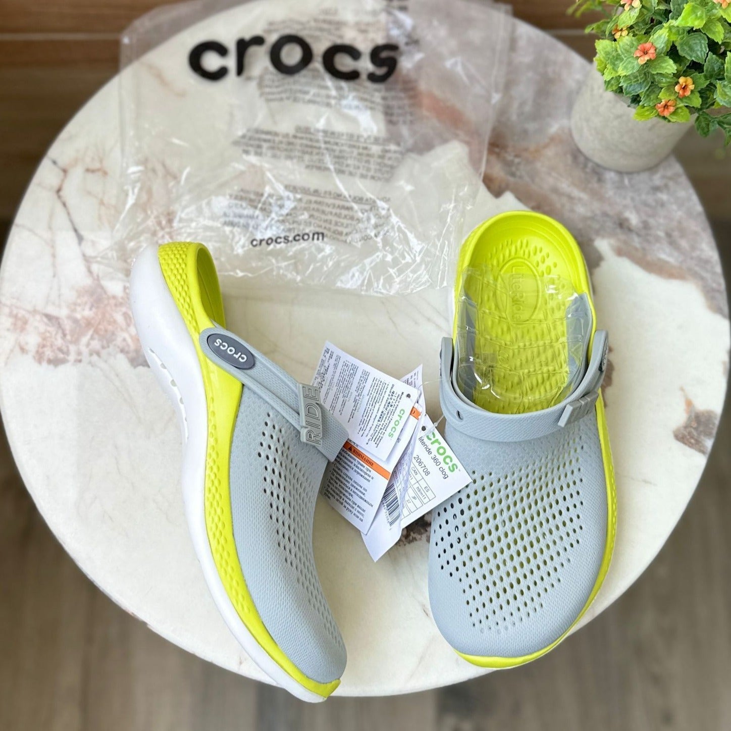 Amazing literid croco