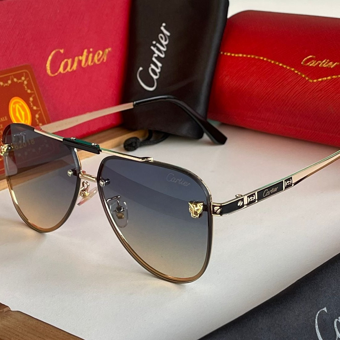 Ctr premium luxury unisex sunglasses - AmazingBaba