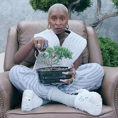 Amazing quality pollex clogs