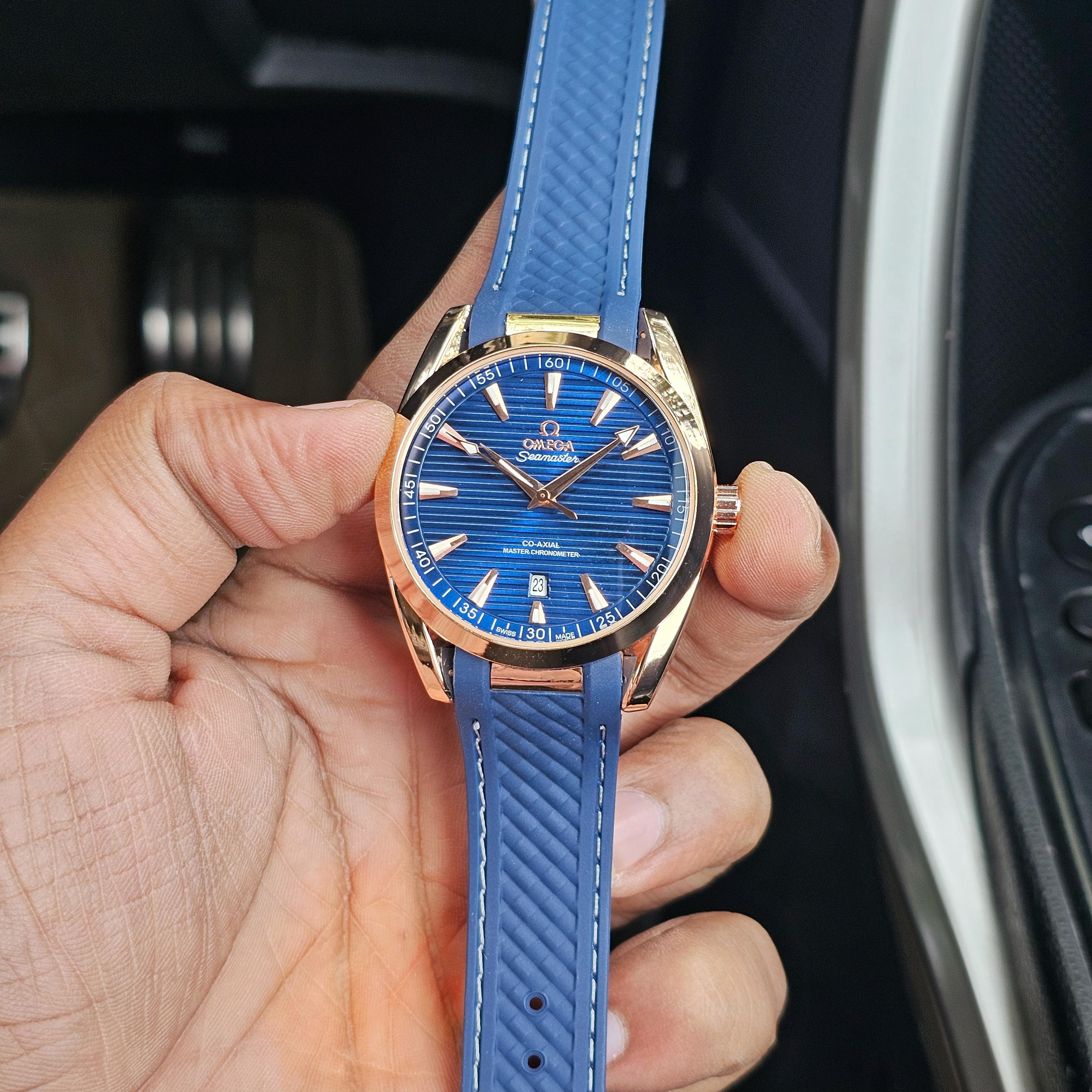 Seamaster Aqua Terra Premium Watch