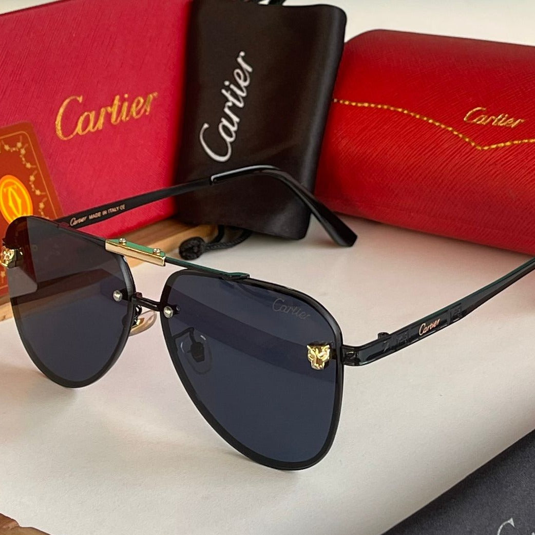 Ctr premium luxury unisex sunglasses