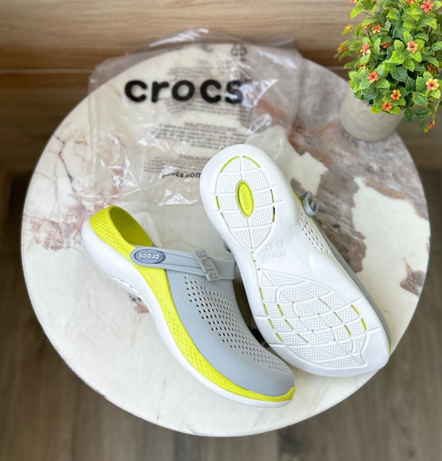 Amazing literid croco