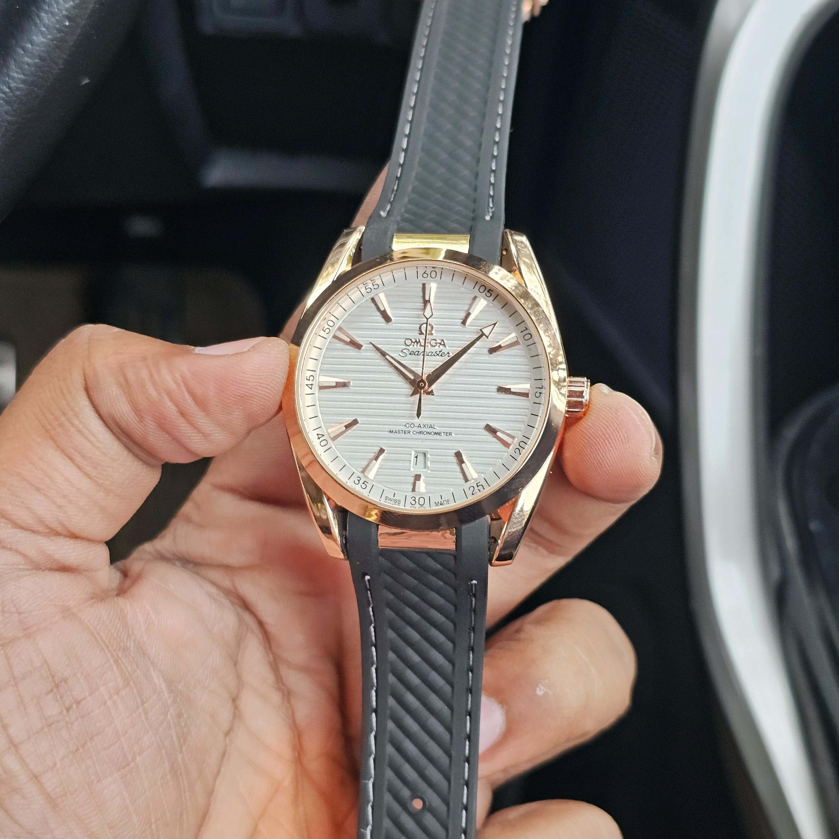 Seamaster Aqua Terra Premium Watch