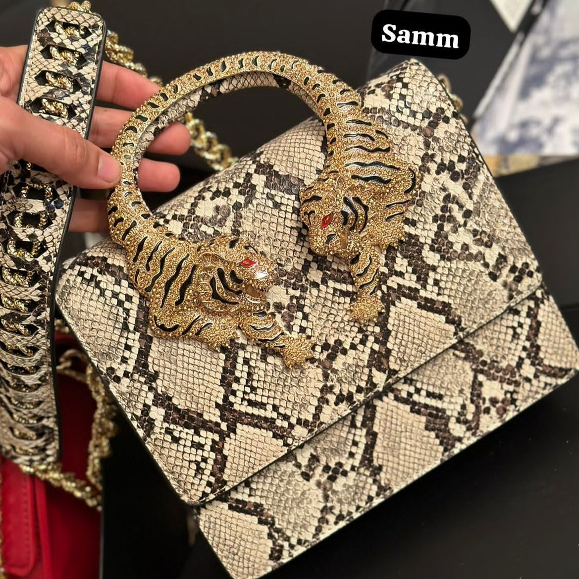 Amazing Roberto luxury bag - AmazingBaba