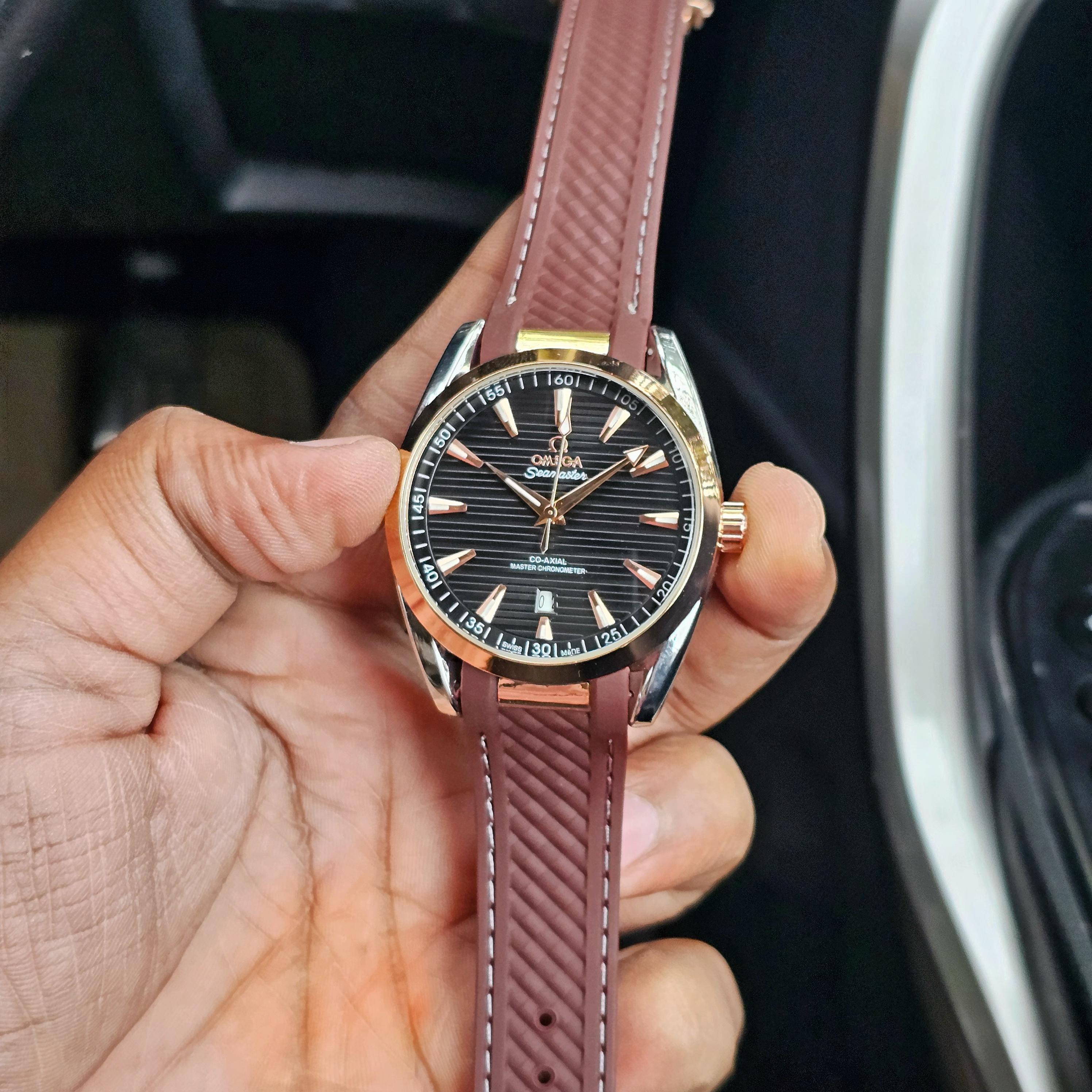 Seamaster Aqua Terra Premium Watch