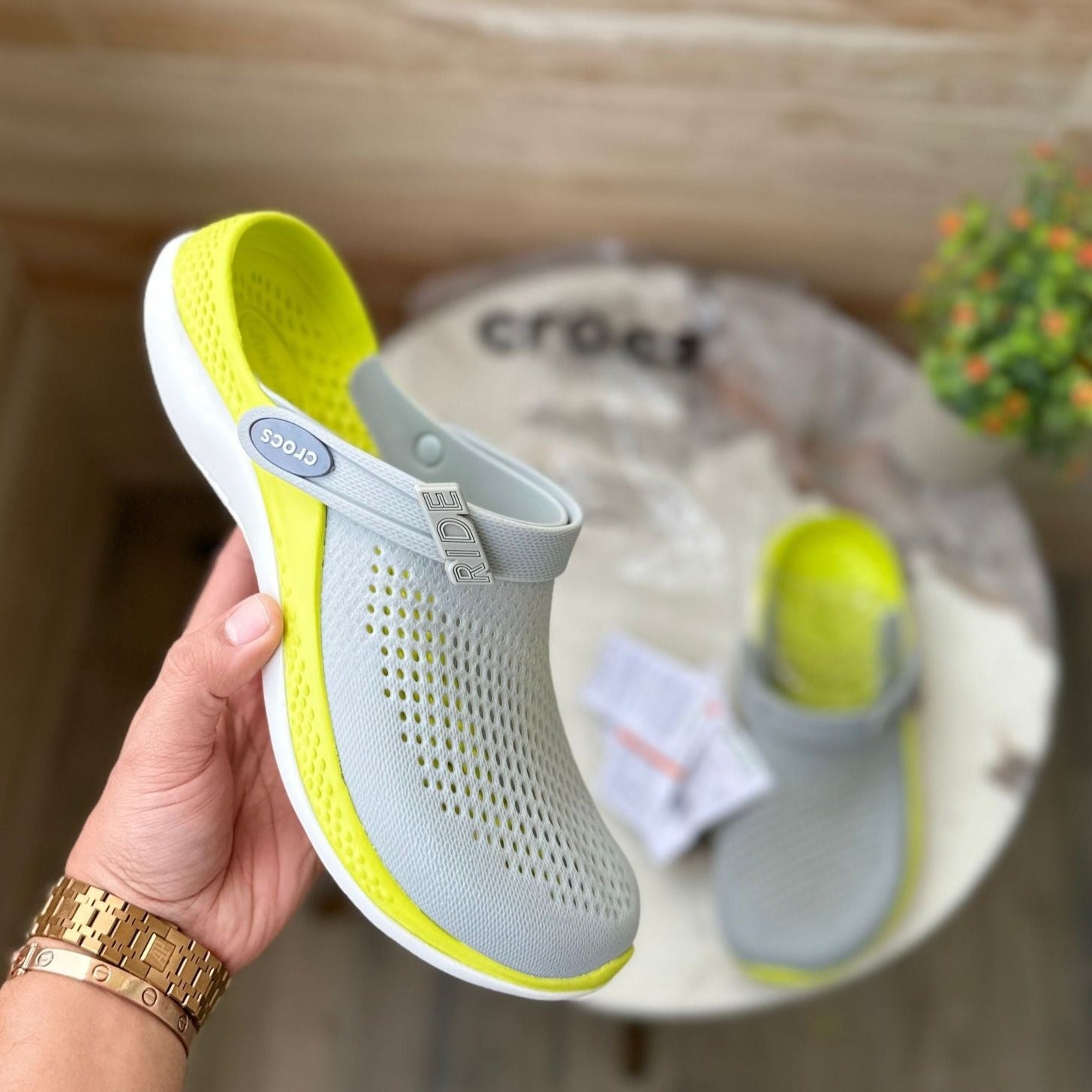 Amazing literid croco