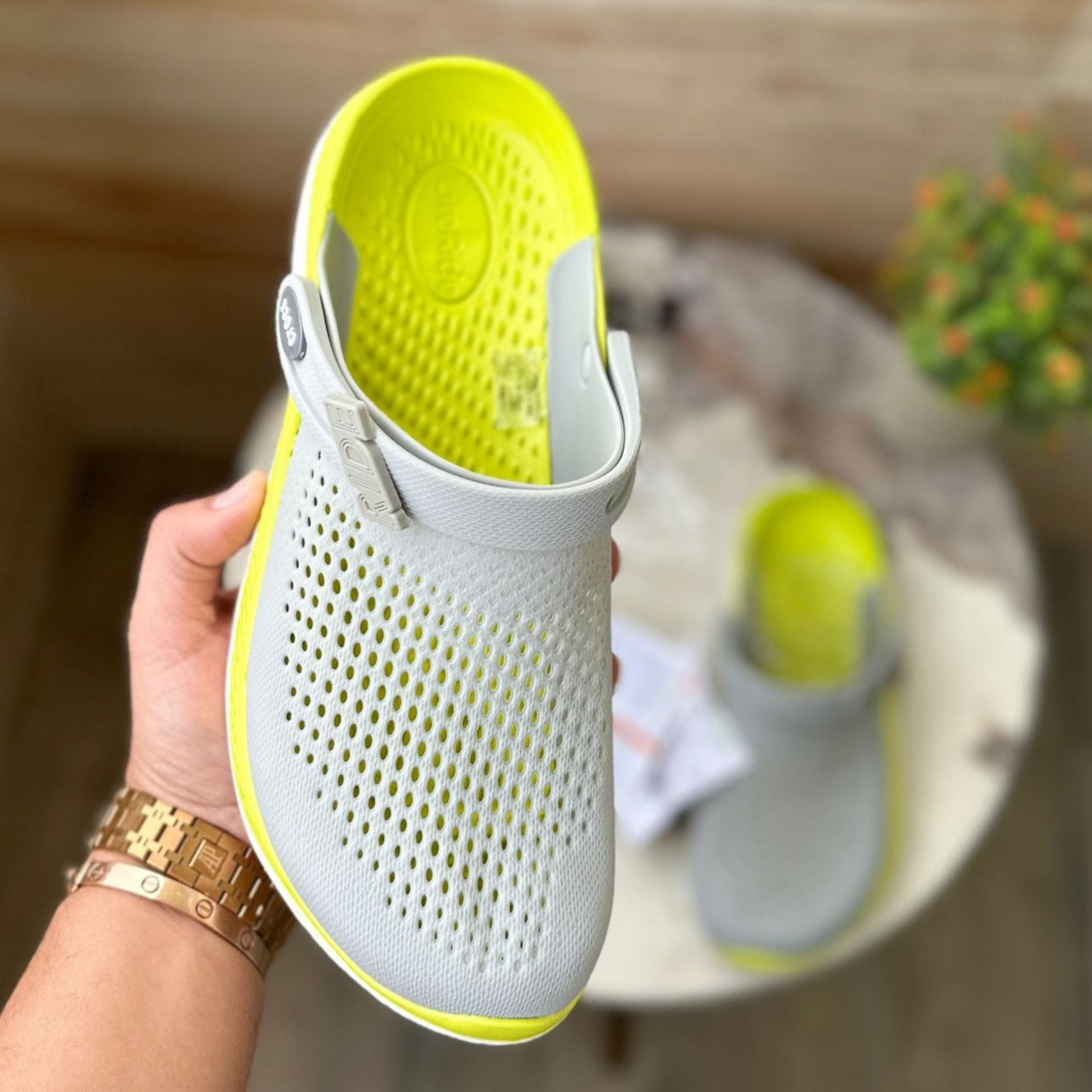 Amazing literid croco